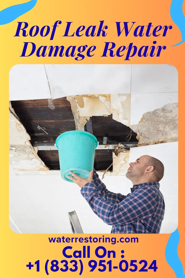 Roof Leak Water Damage Repair in Kearney, NE