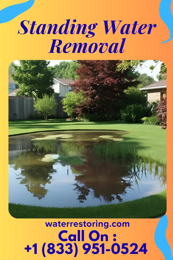 Standing Water Removal in Kearney, NE